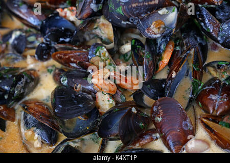 Kochen Meeresfrüchte saute gedämpft und gebratene Muscheln und Garnelen in Sauce, Nahaufnahme, erhöhte Hohe Betrachtungswinkel Stockfoto