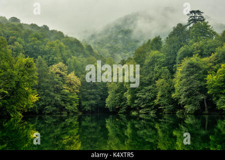 Ruhiger, nebelbedeckter Wald umgeben einen ruhigen, reflektierenden See, mit üppig grünen Bäumen und Nebel, der über die Hügel schlängelt, eine ruhige Szene Stockfoto