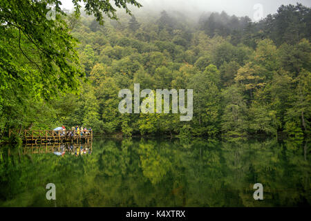 Friedliche Waldlandschaft mit einem reflektierenden See, einer hölzernen Aussichtsplattform und üppigen grünen Bäumen unter einem nebeligen Himmel. Stockfoto