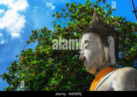 Ausgerichtet Buddha Statuen am Wat Yai Chaimongkol Ayuthaya, Bangkok, Thailand Stockfoto