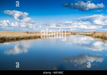 Brazo de la Torre, einer der Zweige des Guadalquivir-Flusses im Doñana-Marschland, Isla Mayor, Sevilla, Spanien Stockfoto