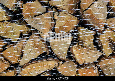 Holz im Depot, schneiden Sie die Protokoll- und zum Verkauf bereit. Stockfoto