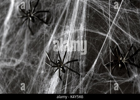 Halloween Dekoration der schwarzen Spielzeug Spinnen auf der web Stockfoto