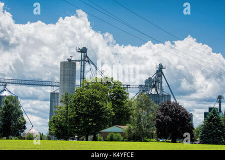 Die landwirtschaftlichen Unternehmen bei der Lagerung und Verarbeitung von Getreide Stockfoto