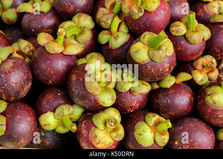 Gruppe von frischen Mangosteen. (Königin der Früchte). Stockfoto