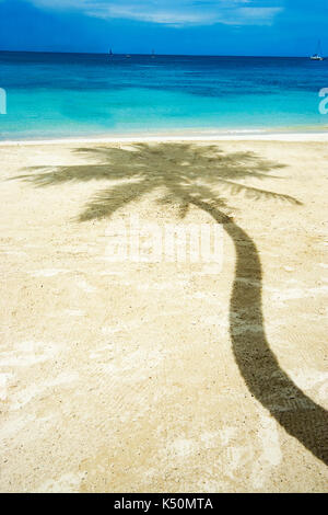 Der Schatten einer Palme, an einem schönen Strand Stockfoto