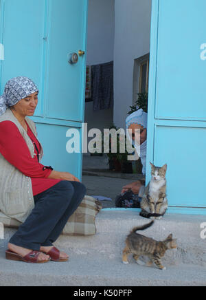 Ein Alltag in Kappadokien, zwei Frauen mit zwei Katzen Stockfoto