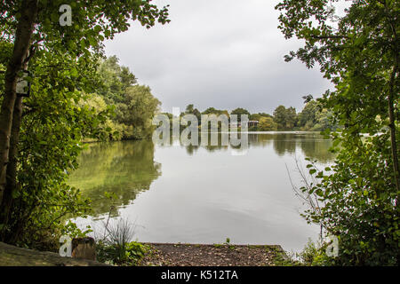 See Blick durch die Bäume auf den See vom Fischen Plattform. Hilton Kiesgruben Naturschutzgebiet Hilton Derbyshire. Stockfoto