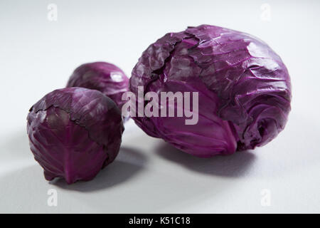 In der Nähe von rotkohl auf weißem Hintergrund Stockfoto