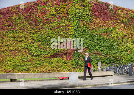 Die Mauer von Boston Efeu am Churchill College in Cambridge ab, rot zu werden im Herbst angekommen. in diesem Jahr die Wand zu drehen begann Rot in der Mitte August. Einer der größten Wände von Boston Efeu in Großbritannien wird eine Flamme des Roten EINEN MONAT früh läutet den Beginn der Herbst - im August die herrliche Ivy, die wachsenden am Churchill College an der Universität Cambridge wurde für fast 60 Jahre, ändert sich von Grün auf Rot wie das VEREINIGTE KÖNIGREICH sieht ein baldiges Ende Sommer dieses Jahres. Etwa ein Drittel der Kriechgang hat bereits die Farbe wechselte und seine fantastische Laub ist hellt sich das Kollegium Wände und Stockfoto