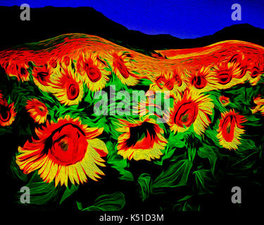 Digitale Kunst: Feld mit Sonnenblumen in der Provence, Frankreich Stockfoto