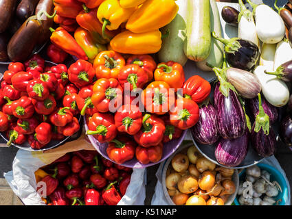 Ernte von frischem Gemüse im Freien auf dem Markt zum Verkauf: Zucchini, Zwiebel, Knoblauch und Auberginen, Paprika Stockfoto