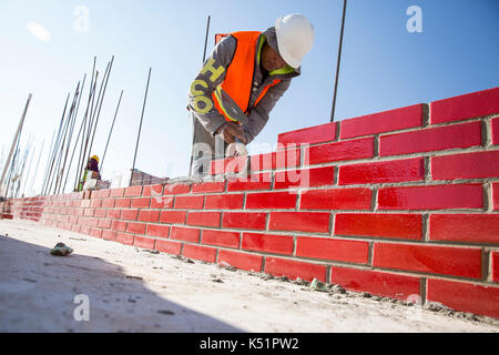 Konzentrierter Bauarbeiter, der auf einer Baustelle im Freien eine rote Mauer aus Ziegeln und Mörtel baute, Sicherheitsausrüstung trug und harte Arbeit reflektierte Stockfoto