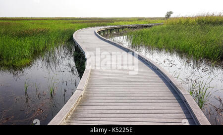 Boardwalk Kurven durch einen Sumpf- und Feuchtgebieten bei Sabine National Wildlife Refuge in Louisiana Stockfoto