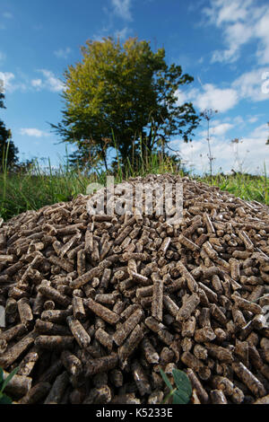 Stapel von Holz- pellets liegen auf Wiese gegen Baum und blauer Himmel im Hintergrund. Holz- pellets, effektiv, umweltfreundlich und wirtschaftlich Stockfoto