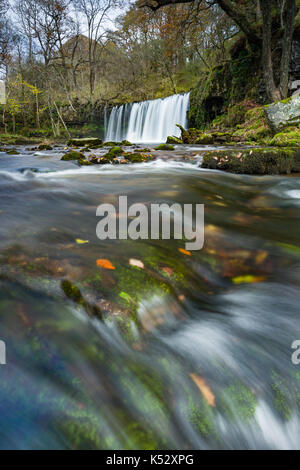 Sgwd yr Eira Wasserfall im Herbst, Brecon Beacons, Wales, Vereinigtes Königreich Stockfoto