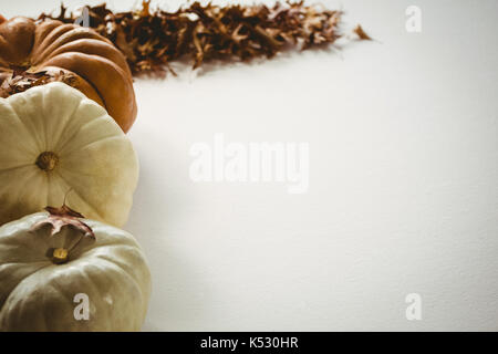 Kürbisse von Herbstlaub auf weißem Hintergrund angeordnet Stockfoto