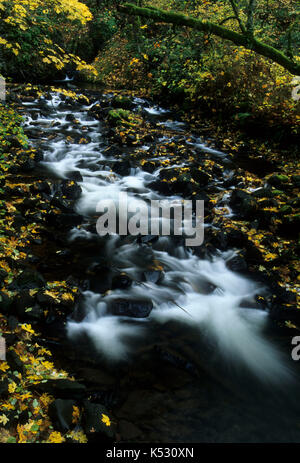 Bridal Veil Creek, Bridal Veil State Park, Columbia River Gorge National Scenic Area, Oregon Stockfoto