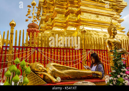 CHIANG MAI, THAILAND - 12/8/2014: Eine buddhistische Frau macht eine Lotusblüte bietet im Wat Phra That Doi Suthep Tempel. Stockfoto