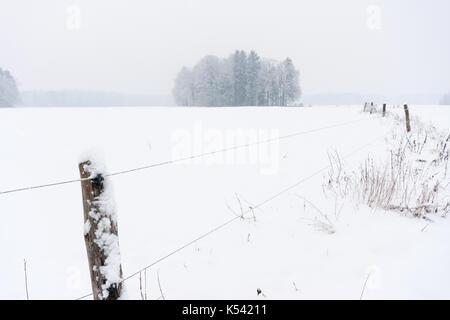 Elektrischen Zaun leer Weiden im Winter. Stockfoto