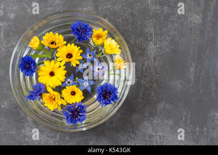 Schüssel mit bunte Blütenblätter schwimmend auf der Oberfläche der Wasser. Blumen schweben in Schüssel. spa Stockfoto