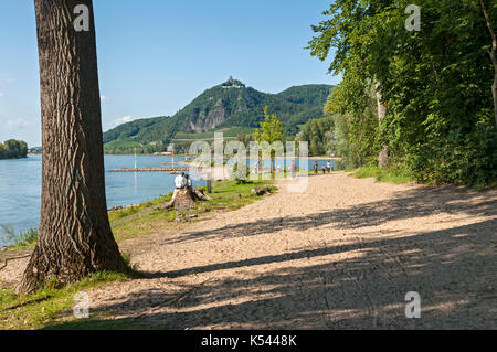 Drachenfels und Rhein von Grafenwerth, Bad Honnef, NRW, Deutschland. Stockfoto