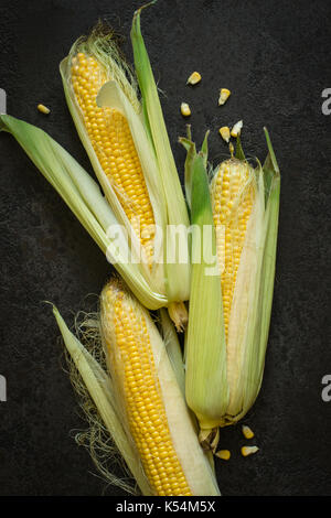 Junge süße Maiskolben mit Blättern auf Schwarz konkreten Hintergrund Reif. Stockfoto