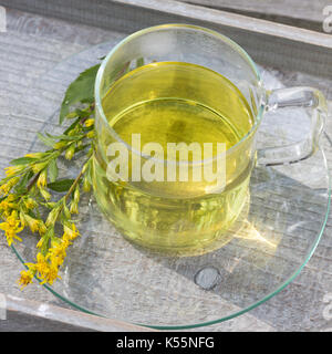 Goldrute-Tee, Goldruten-Tee, Tee, Kräutertee, Heiltee aus Goldruten-Blüten, Blütentee, gewerbliche Goldrute, echte Goldrute, Gemeine Goldrute, Solidag Stockfoto