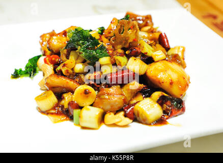 Chinesisches Essen, würziges Hähnchen mit Erdnüssen, gewürfelt Stockfoto
