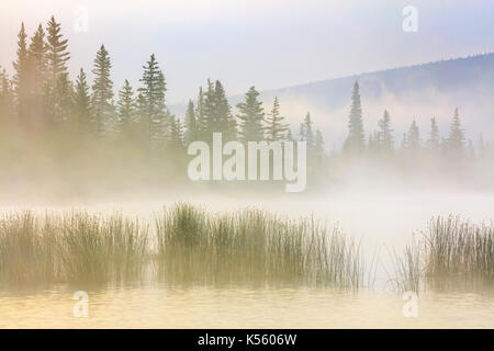 Vermilion Lakes im Banff National Park, Alberta, Kanada Stockfoto