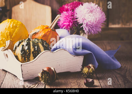 Herbst gemütlich zu Hause Dekorationen. Stillleben mit Miniatur Kürbisse auf Holz rustikale Hintergrund Stockfoto