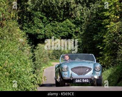 Austin Healey 100 M während der Fahrt auf einem englischen Country Road Stockfoto