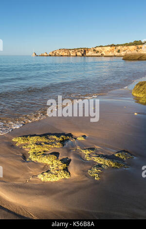 Blick auf den Sandstrand im Morgengrauen vom blauen Meer gebadet Praia do Vau Portimao Faro Bezirk Algarve Portugal Europa Stockfoto