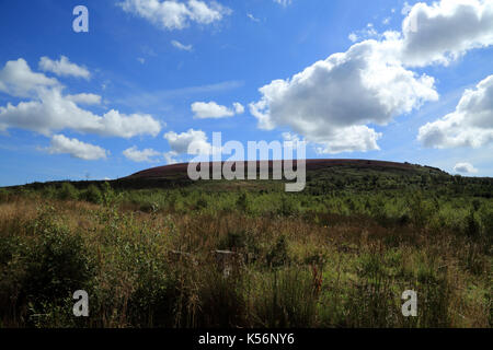 Black Hambleton Hill auf den North Yorkshire Moors von oben und Nether Silton, North Yorkshire, England, Vereinigtes Königreich Stockfoto