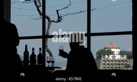 Ein Kunde Proben eine Vielzahl von Port in einem Tasting Room mit Blick auf Porto, Portugal, 20. August 2017. © Johannes Voos Stockfoto