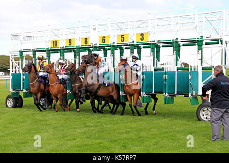 Der Start der Seide Serie Lady Reiter "Handicap, Brighton 10/8/17. Stockfoto