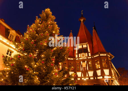 Weihnachtsbaum vor dem historischen Rathaus, Weihnachtsmarkt in der Altstadt von Michelstadt im Odenwald, Hessen, Deutschland Stockfoto