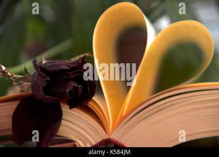 Liebe und Bücher. Herzform aus Buchseiten Stockfoto