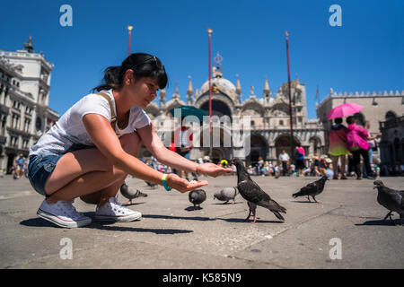 Frau touristische füttern Tauben auf dem Platz - Markusplatz - Venedig Italien Stockfoto