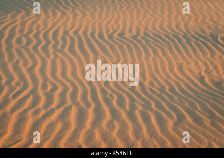Textur Wellen im Sand, Dünen, gelb Ton, Sonnenuntergang. Stockfoto