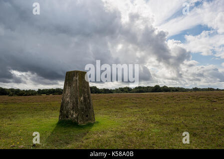 Ordnance Survey trig Point Stone in Bramble Hill, Bramshaw, New Forest National Park, Hampshire, Großbritannien Stockfoto