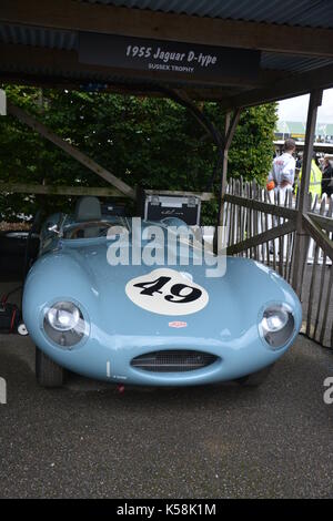 1955 JAGUAR D Type; Sussex Trophy; in paddocks; Goodwood Revival 8. Sept. 2017 Stockfoto