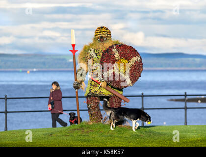 Sempervivums Viking Skulptur Largs, Schottland, die jährlichen Viking Festival der Schlacht von Largs vom 2. Oktober 1263 zu gedenken. Die Schlacht erinnert in Largs durch einen frühen 20. Jahrhunderts, Denkmal, und Festlichkeiten an der Küste gehalten, jährlich seit den 1980er Jahren. In der Nähe von Largs liegt die Insel Cumbrae, nur eine Meile von der Küste. Stockfoto