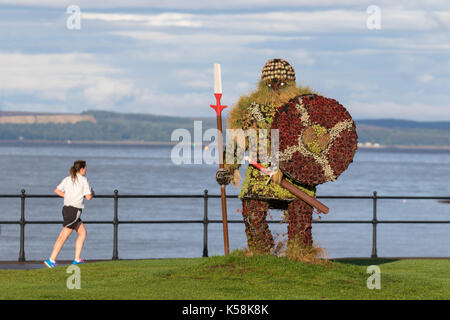 Sempervivums Viking Skulptur Largs, Schottland, die jährlichen Viking Festival der Schlacht von Largs vom 2. Oktober 1263 zu gedenken. Die Schlacht erinnert in Largs durch einen frühen 20. Jahrhunderts, Denkmal, und Festlichkeiten an der Küste gehalten, jährlich seit den 1980er Jahren. In der Nähe von Largs liegt die Insel Cumbrae, nur eine Meile von der Küste. Stockfoto