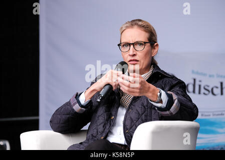 Freiburg, Deutschland. 09 Sep, 2017. Spitzenkandidaten weit - Deutschlands richtige Alternative für Deutschland (AfD), Alice Weidel, während ein Wahlkampf in Freiburg am 9. September, 2017. Credit: Miroslav Dakov/Alamy leben Nachrichten Stockfoto