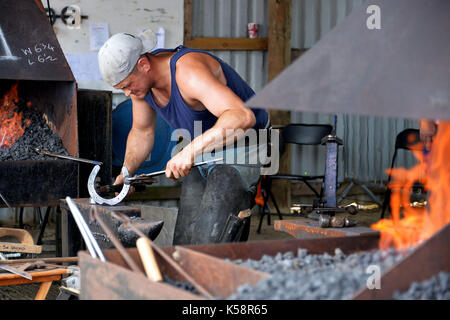 Ein Schmied, ein Hufeisen. Kredit Terry Applin Stockfoto