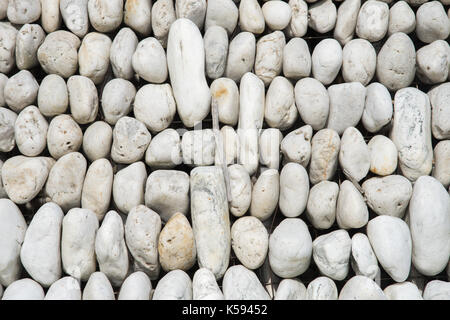 Gruppe der sortierten glatte Felsen gesäumt in Reihen in Nahaufnahme, full frame Detail. Stockfoto