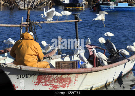 Fischer im kleinen Hafen von Pointe Courte in Sete, Languedoc Roussillon, Frankreich Stockfoto