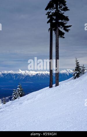 Vertikaler steilen Hang auf Ski Hill im Winter mit Berg Hintergrund Stockfoto