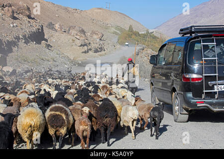 Auto vorbei tadschikischen Shepherd herding Herde von Schafen entlang der Pamir Highway/M41 in der Provinz Gorno-Badakhshan, Tadschikistan Stockfoto